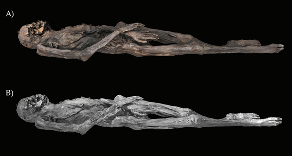 3D models of the mummy for Pazyryk tomb 5 in the visible (A) and infrared (B) 